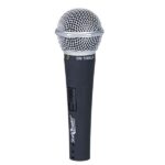 SM 100 XLR